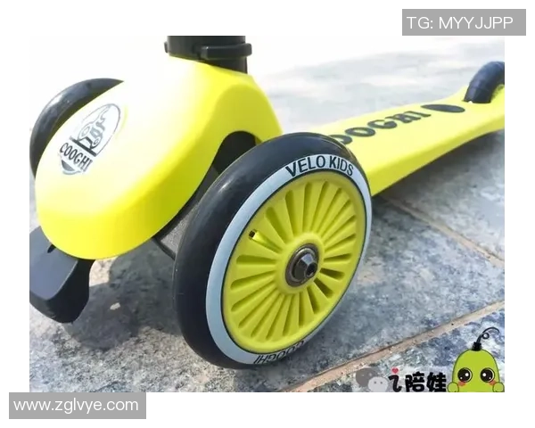 上海滑板队灵活性深度对比分析与发展潜力探讨 上海滑板队灵活性深度对比分析与发展潜力探讨