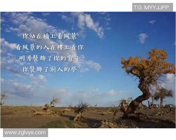 与飞盘同行的杨芳:探索她的运动生涯与心路历程 与飞盘同行的杨芳:探索她的运动生涯与心路历程